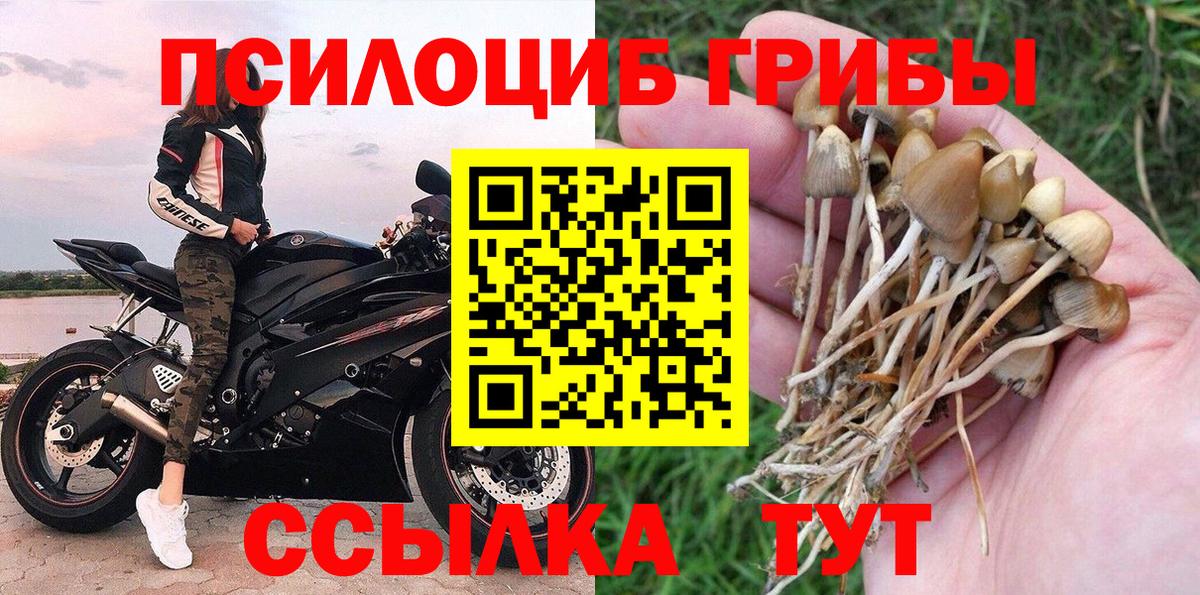Галлюциногенные грибы Magic Shrooms Кунгур